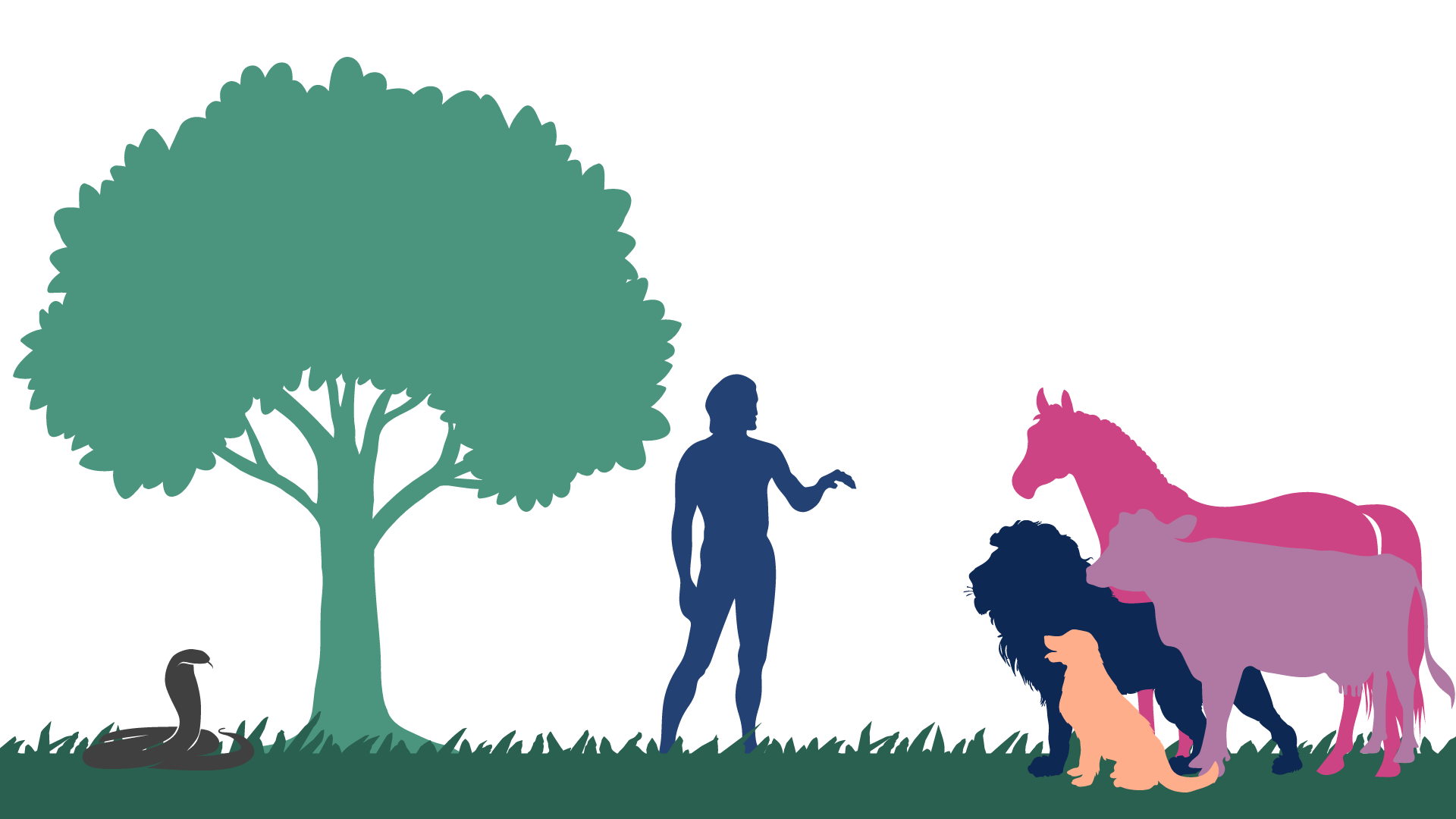 screen shot of video shows illustrated image of Adam and animals in the garden of eden