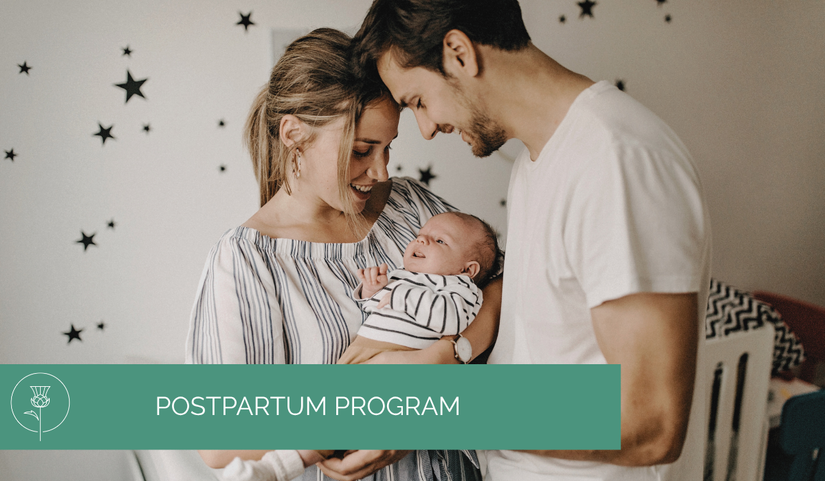 couple holds new baby with text that reads "postpartum program"