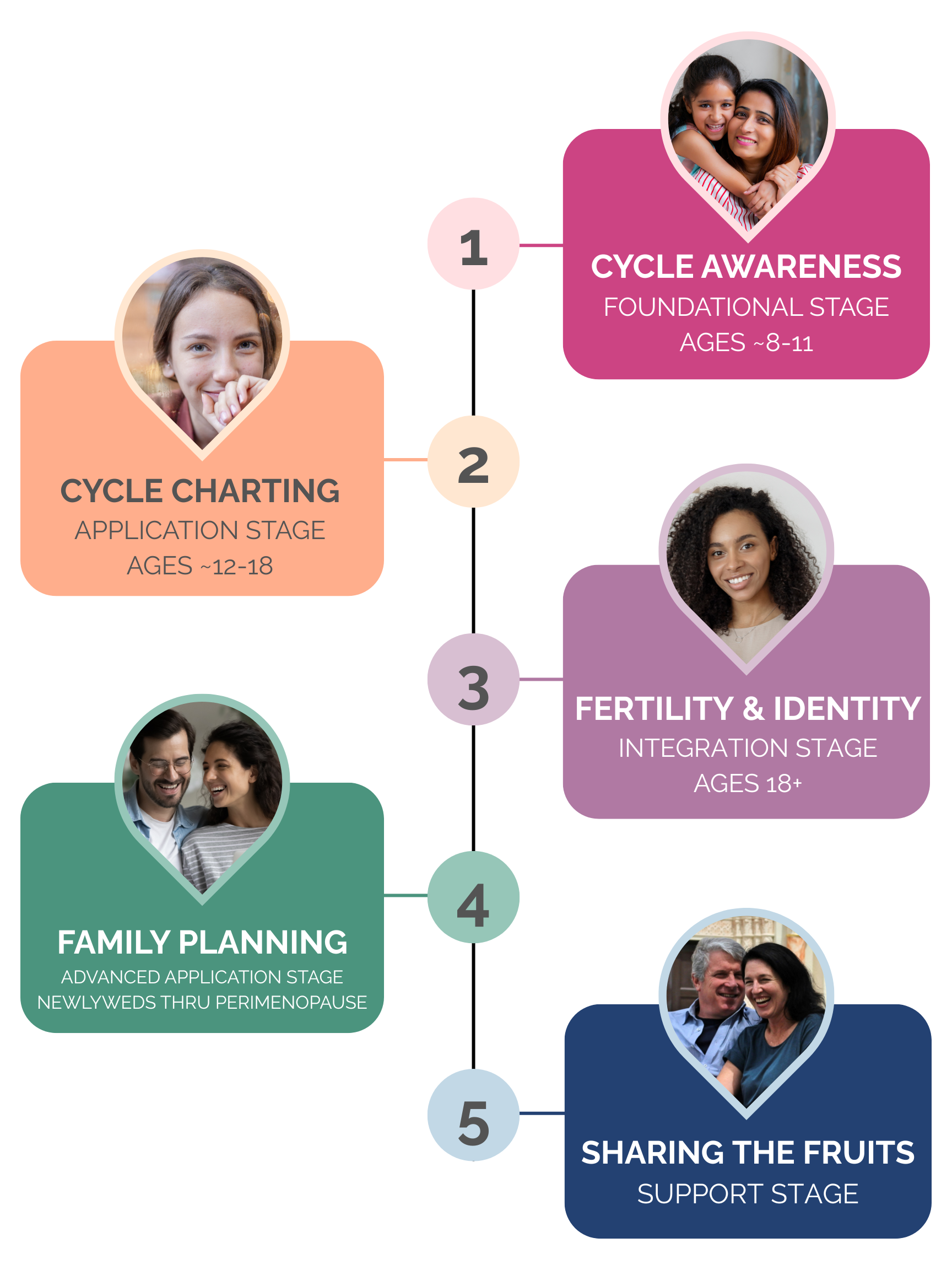 stage 1: cycle awareness, foundational stage, ages -11. Stage 2- cycle charting: application stage, ages 12-18. Stage 3: fertility and identity, integration stage ages 18+, stage 4 family planning: advanced application stage for newlyweds through perimenopause, stage 5: sharing the fruits, support stage